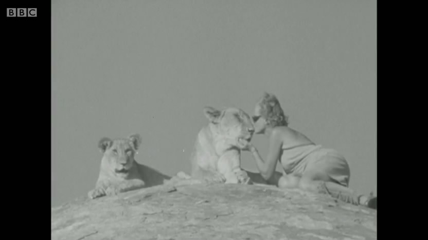 母狮爱尔莎剧照的剧照