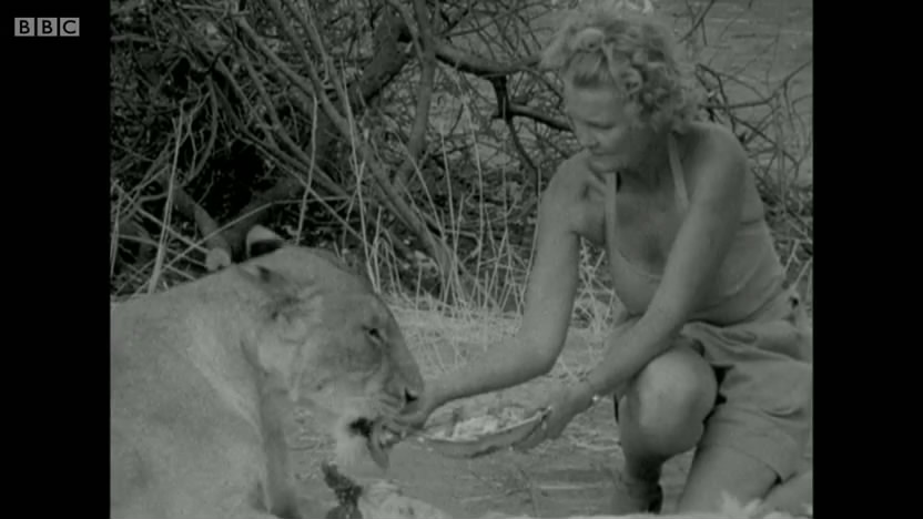 母狮爱尔莎剧照的剧照