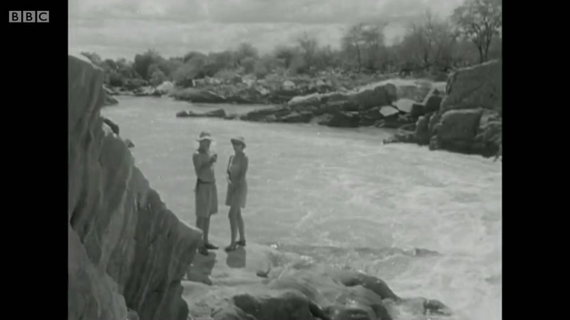 母狮爱尔莎剧照的剧照