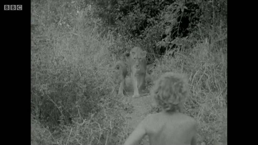 母狮爱尔莎剧照的剧照