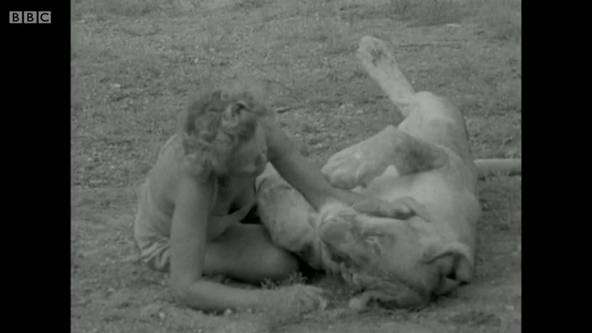 母狮爱尔莎剧照的剧照