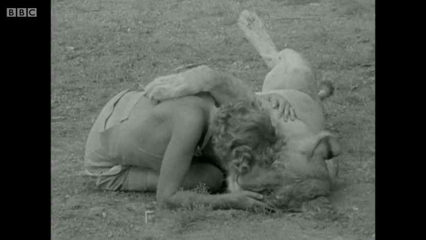 母狮爱尔莎剧照的剧照