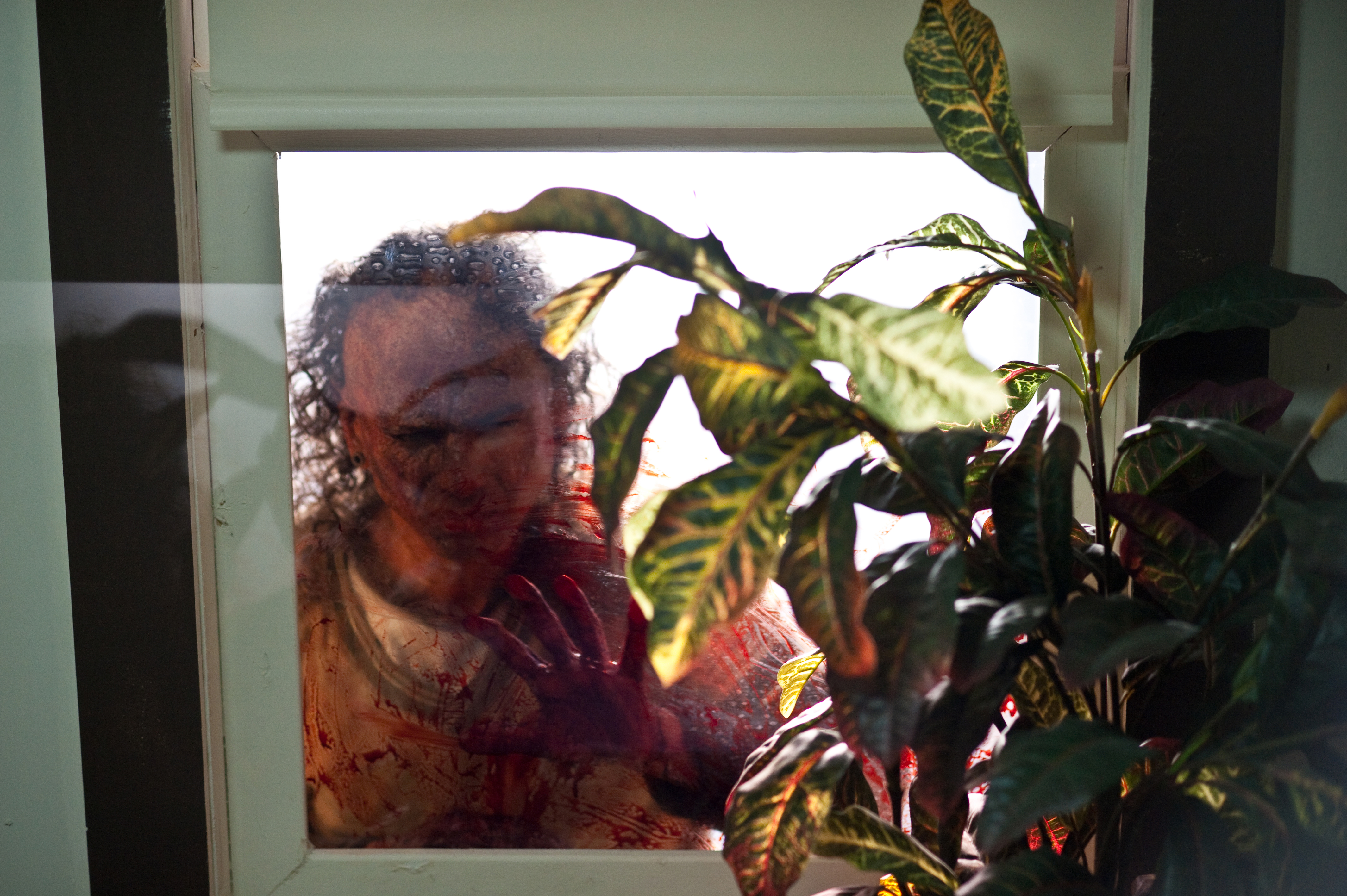 遗迹剧照的剧照