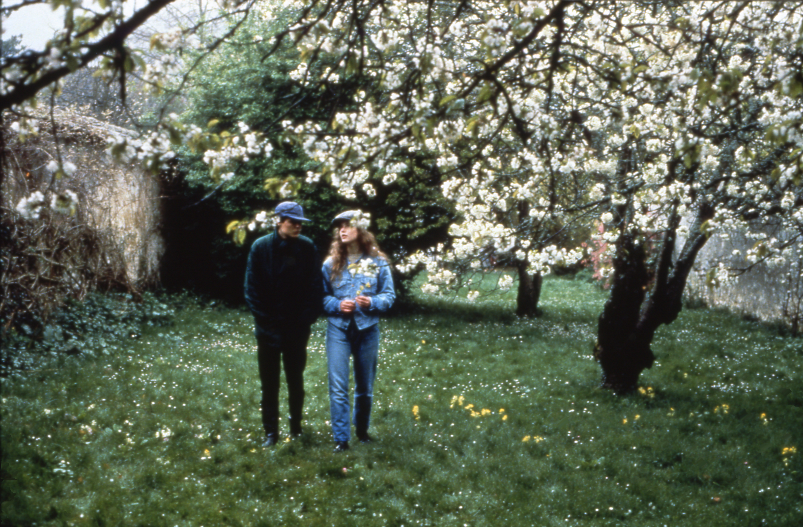 春天的故事剧照的剧照