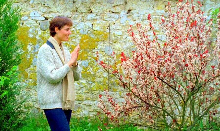 春天的故事剧照的剧照