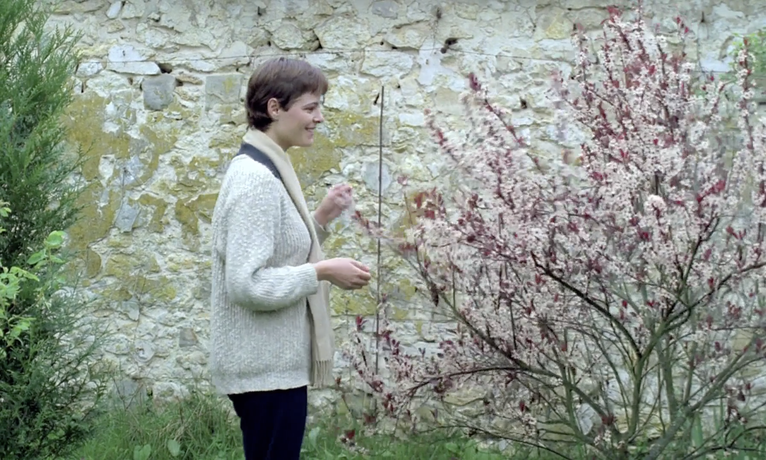 春天的故事剧照的剧照