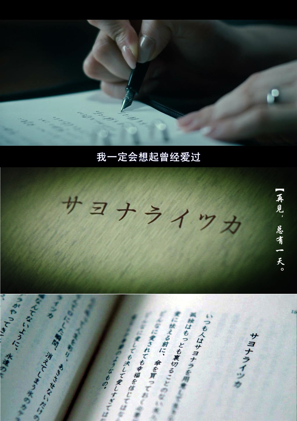 再见，总有一天剧照的剧照