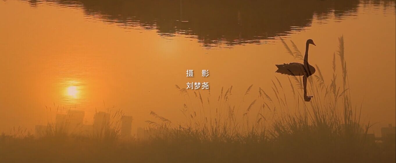 天明剧照的剧照