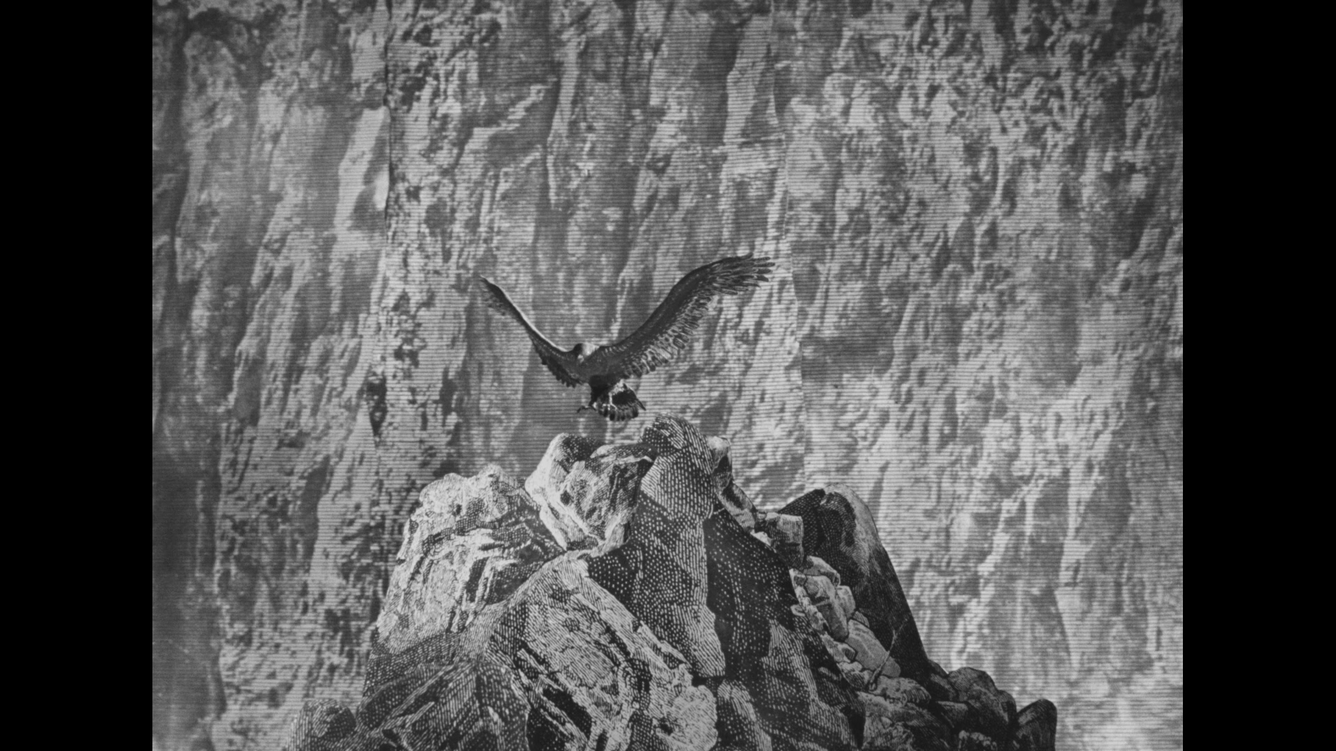 毁灭的发明剧照的剧照