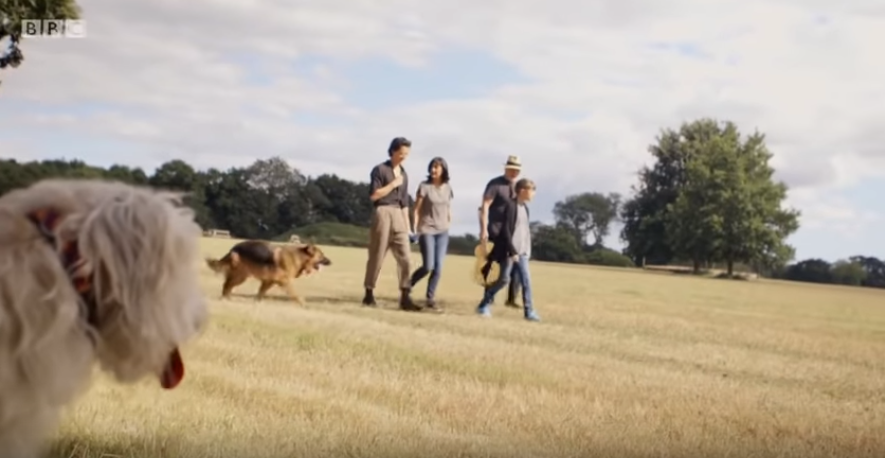 大卫·吉尔莫：更宽广的视野剧照的剧照