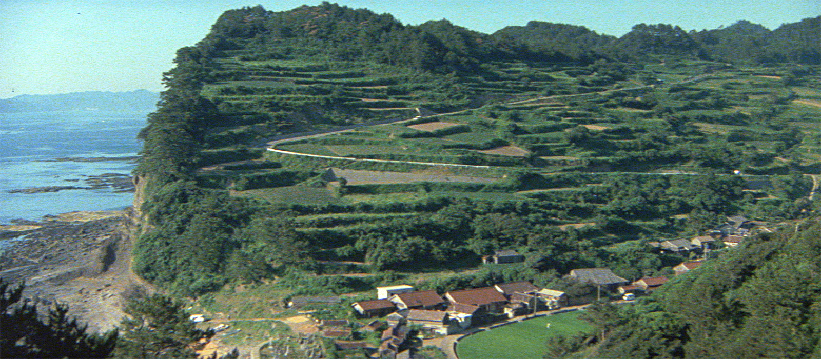 寅次郎的故事27：浪花之恋剧照的剧照