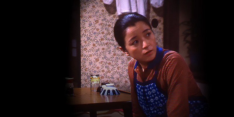 寅次郎的故事27：浪花之恋剧照的剧照