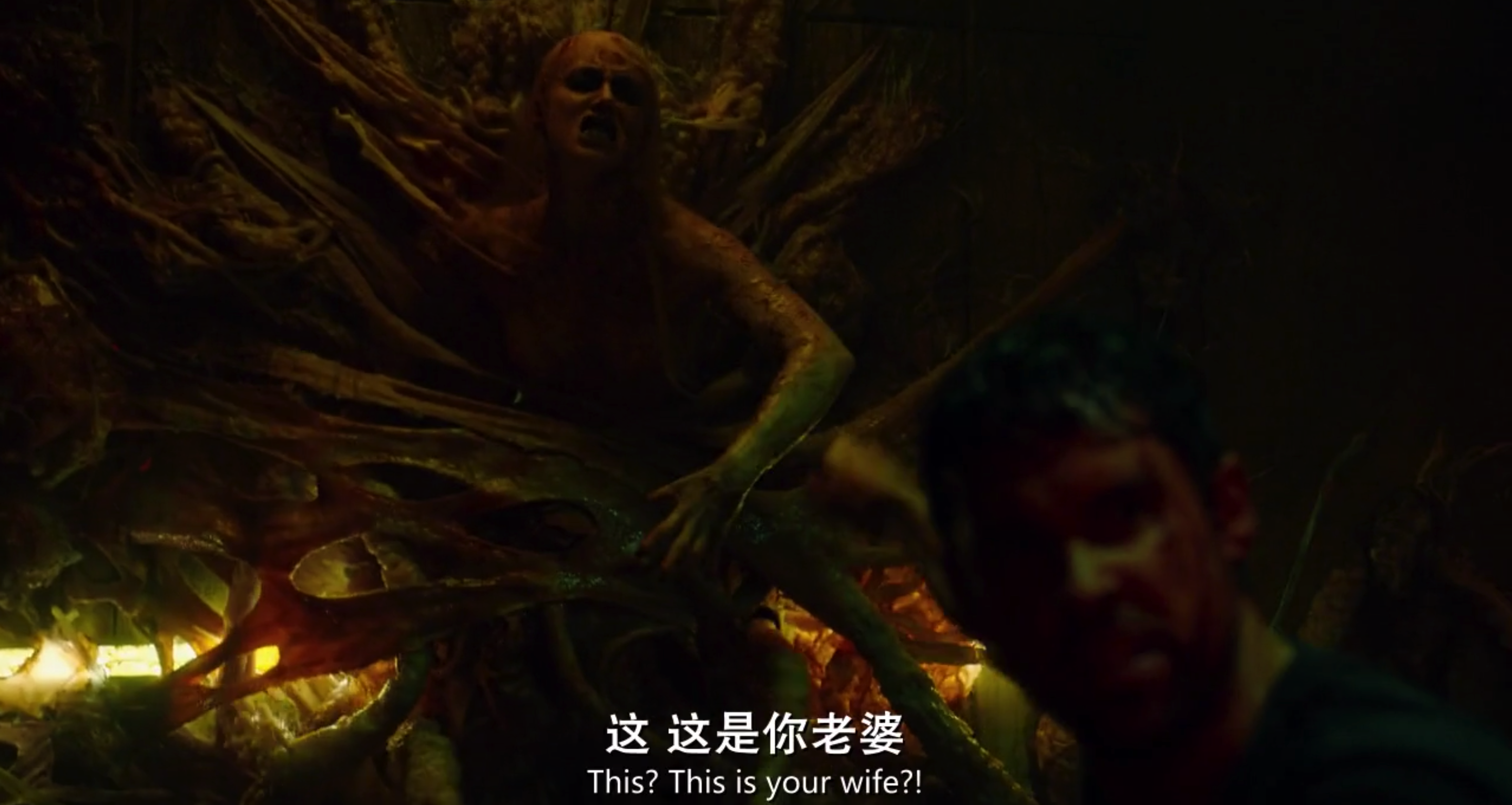 狂犬病剧照的剧照