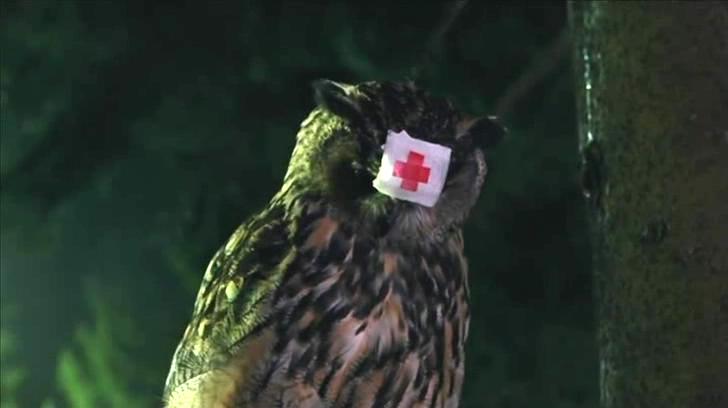 万圣节恐怖宿舍剧照的剧照