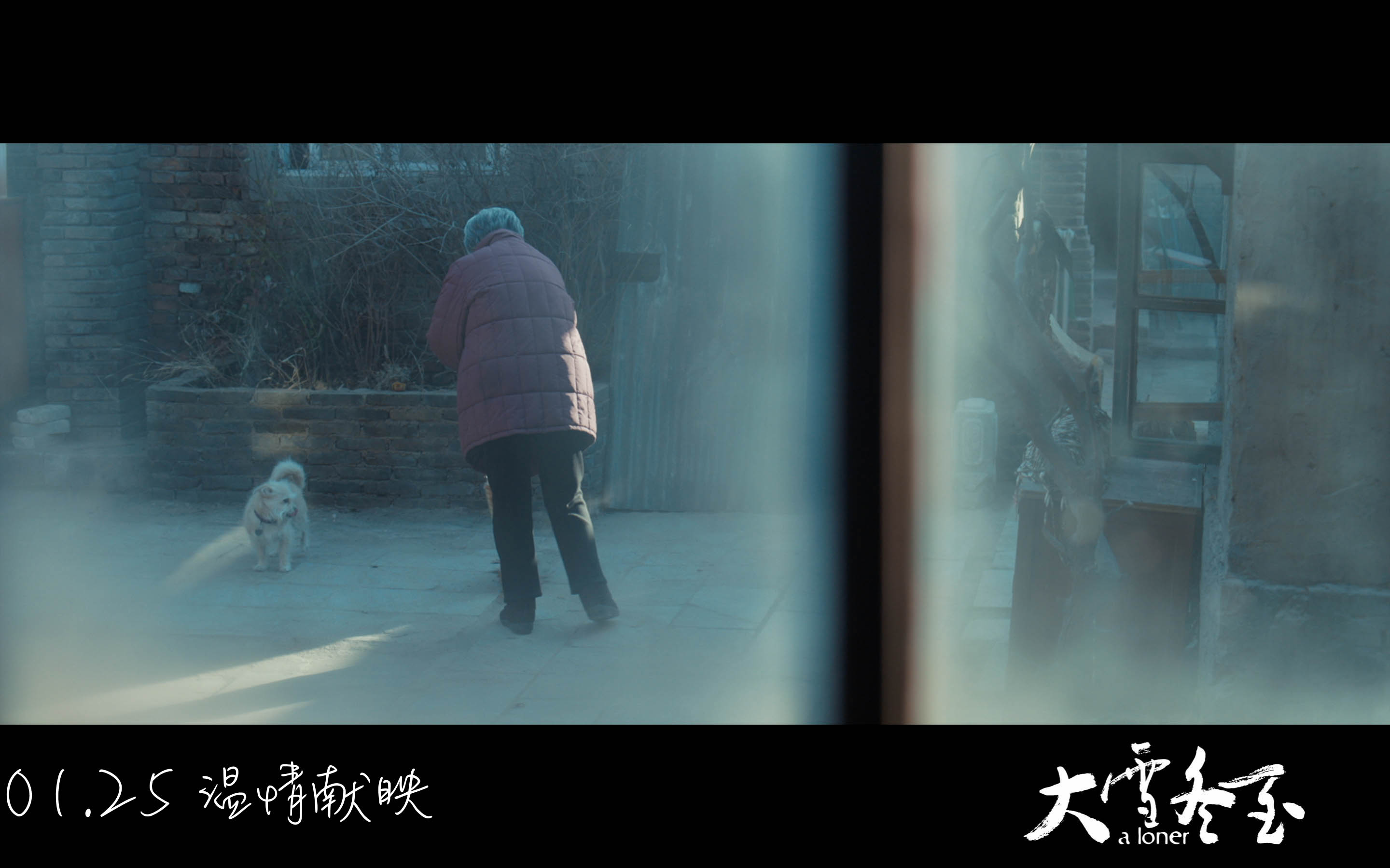 大雪冬至剧照的剧照