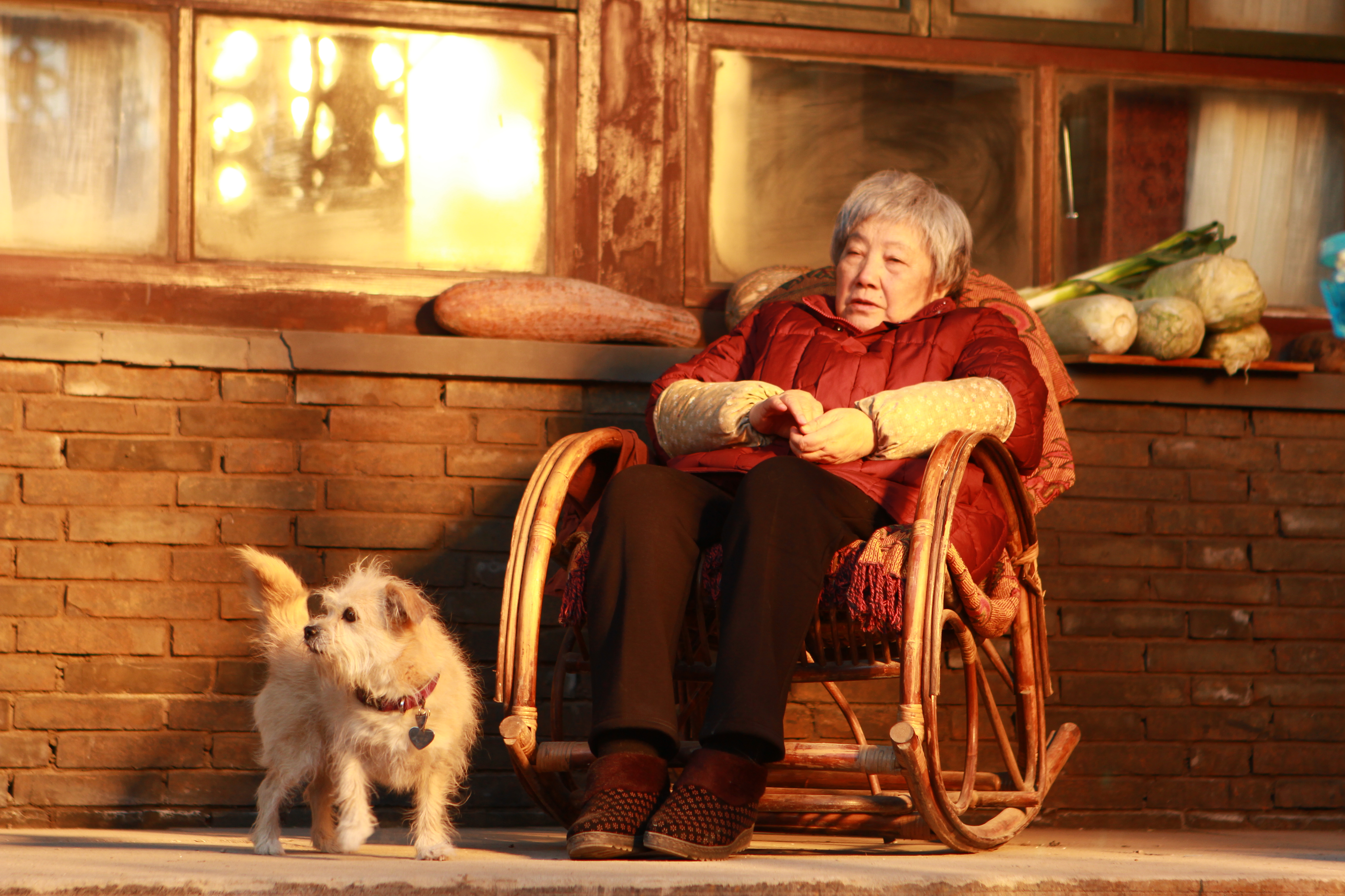 大雪冬至剧照的剧照