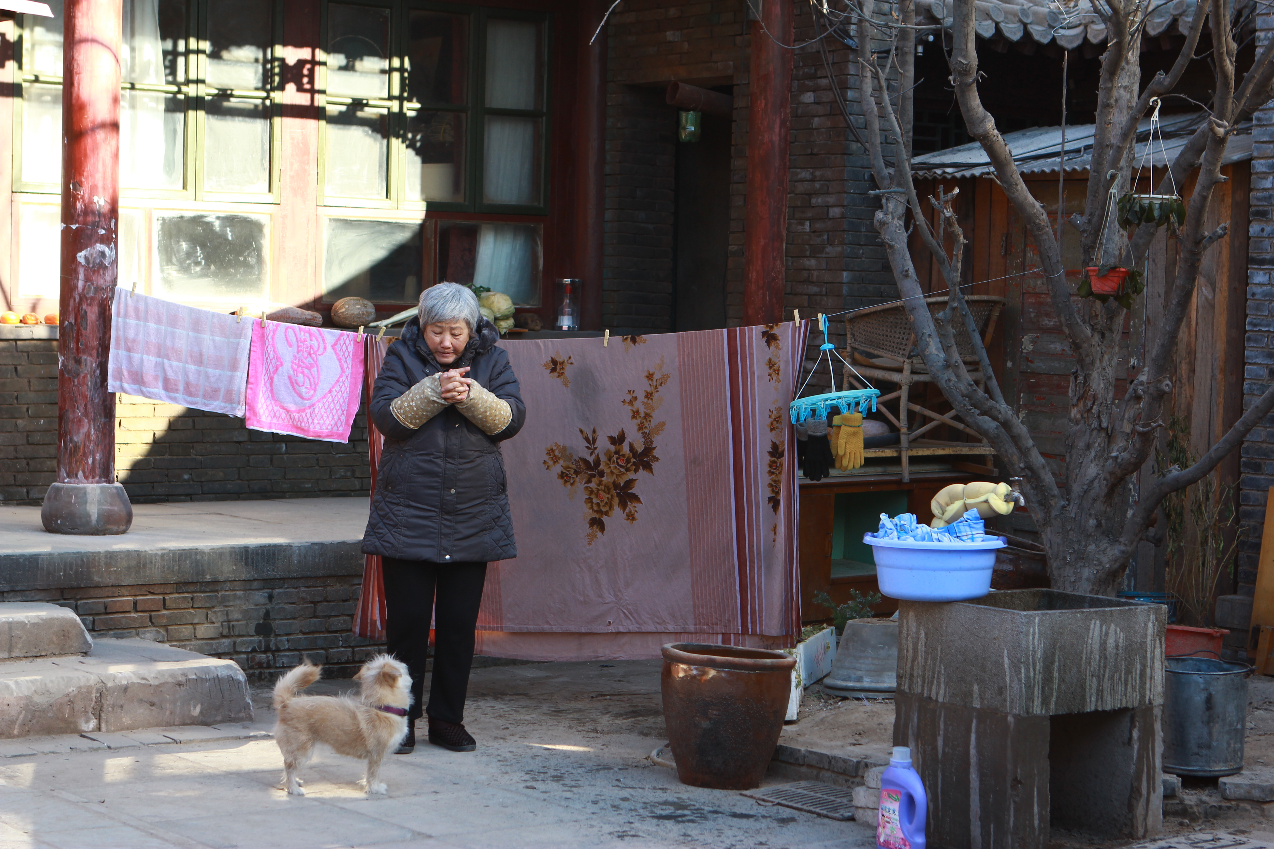 大雪冬至剧照的剧照
