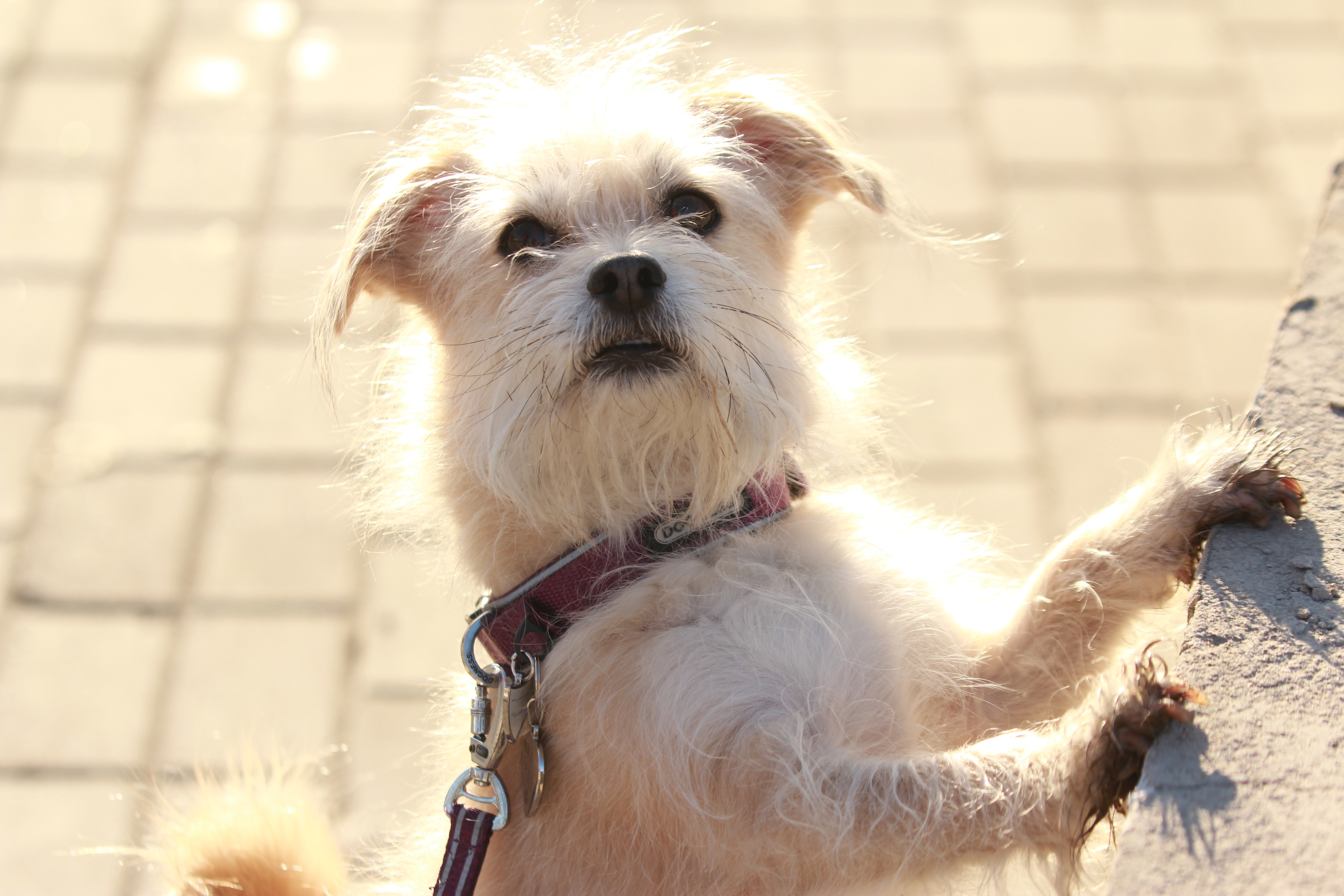 大雪冬至剧照的剧照