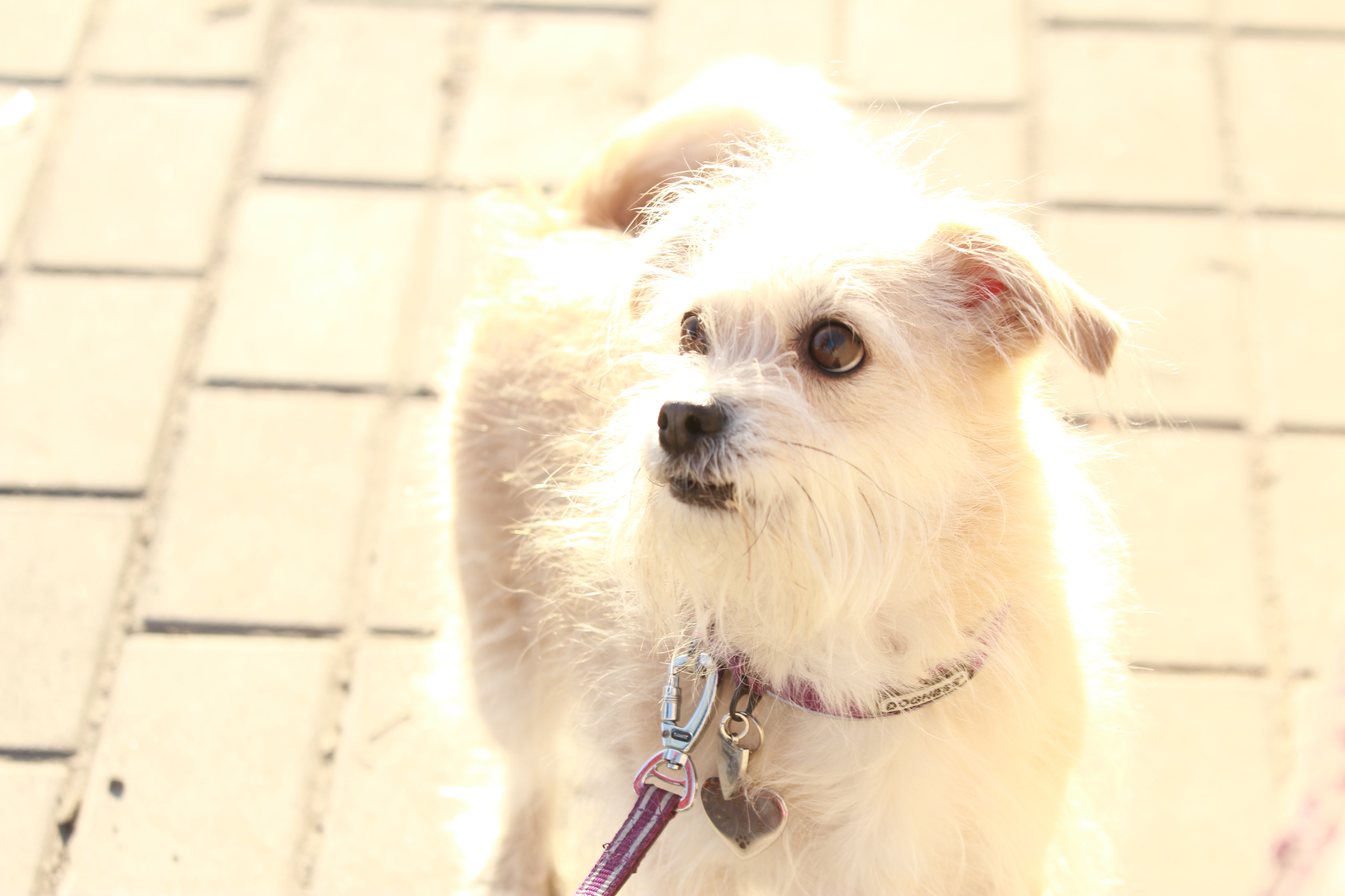 大雪冬至剧照的剧照