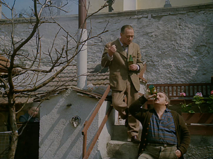 我的甜蜜家园剧照的剧照