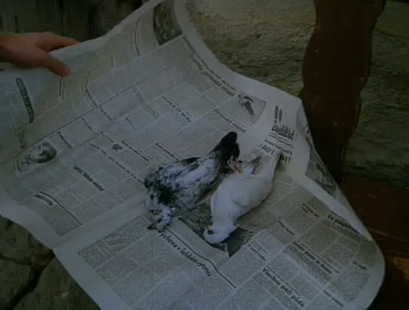 我的甜蜜家园剧照的剧照