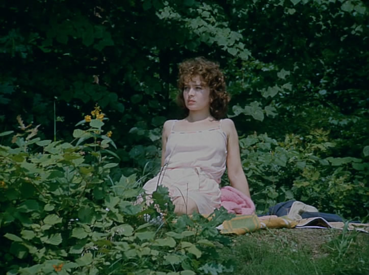 我的甜蜜家园剧照的剧照