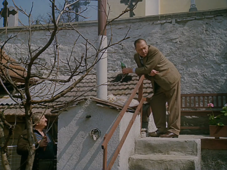 我的甜蜜家园剧照的剧照