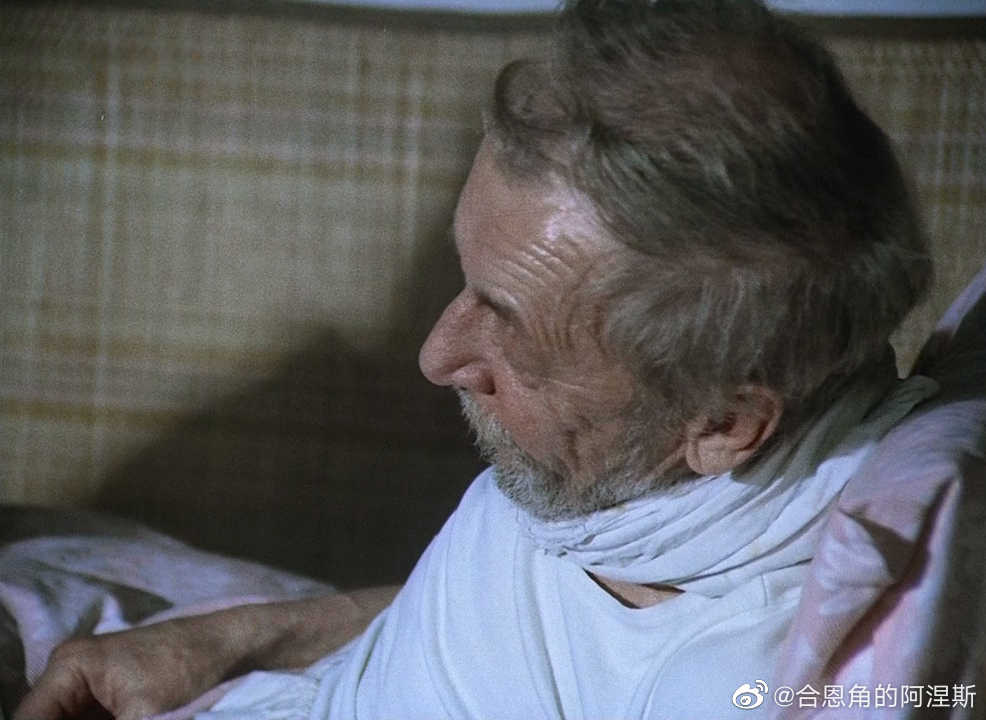 我的甜蜜家园剧照的剧照