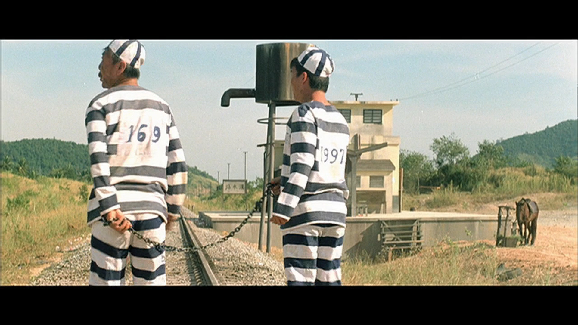 富贵列车剧照的剧照