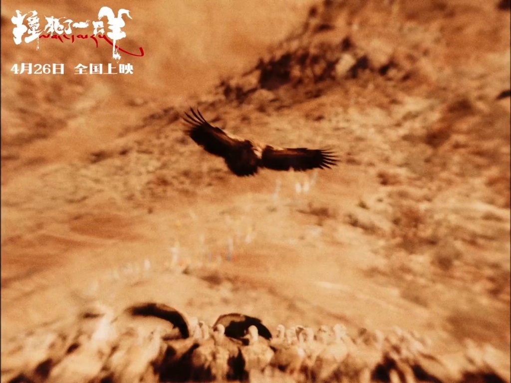 撞死了一只羊剧照的剧照