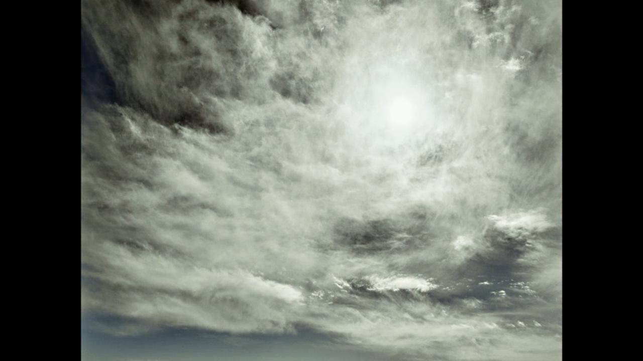 撞死了一只羊剧照的剧照