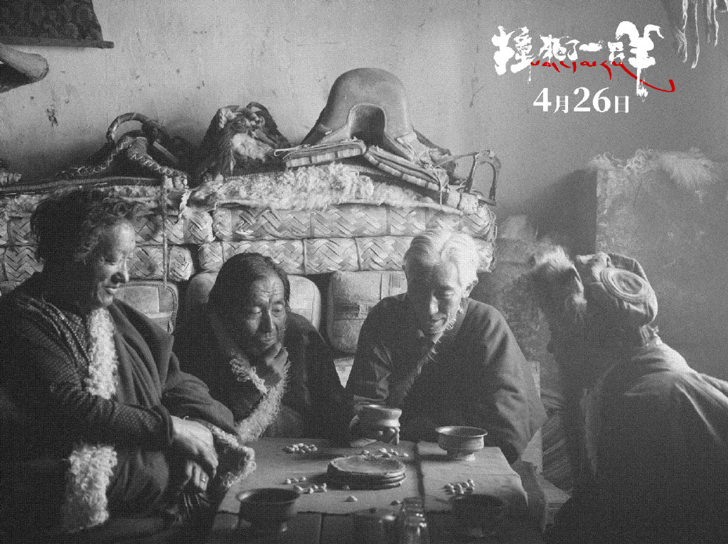 撞死了一只羊剧照的剧照