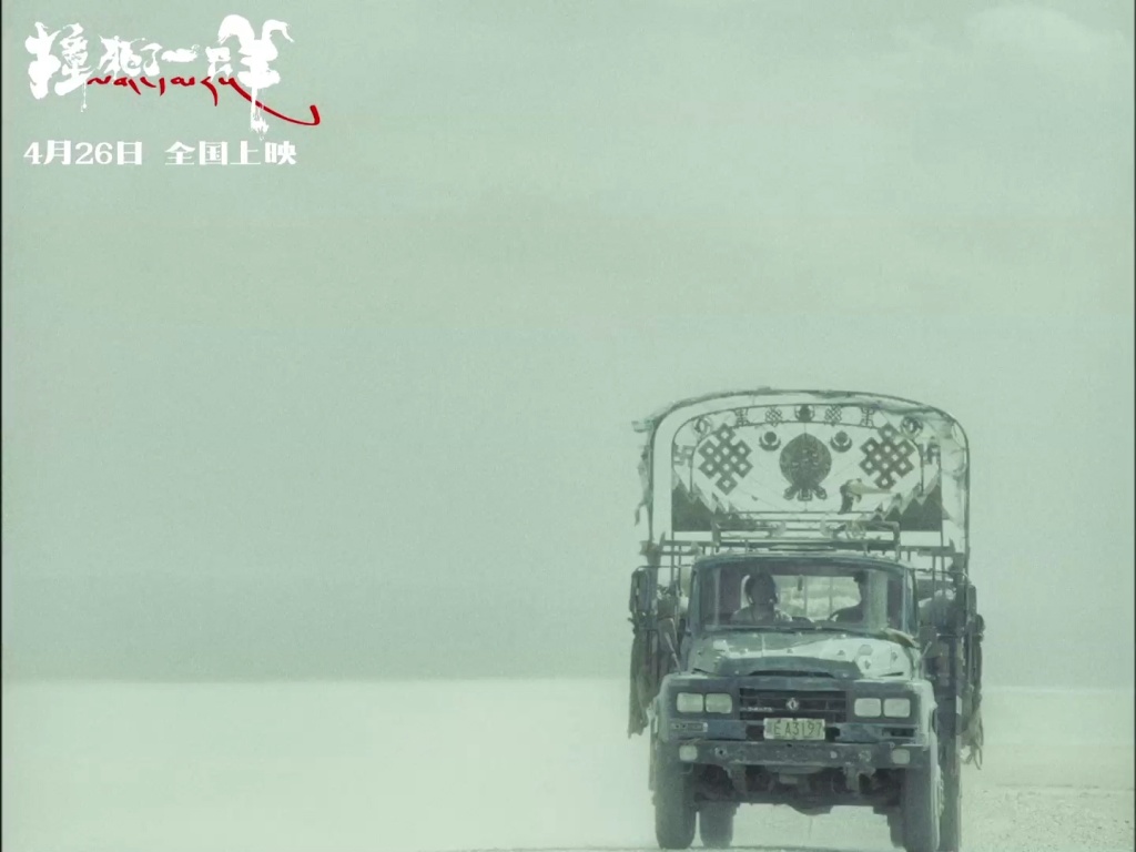 撞死了一只羊剧照的剧照