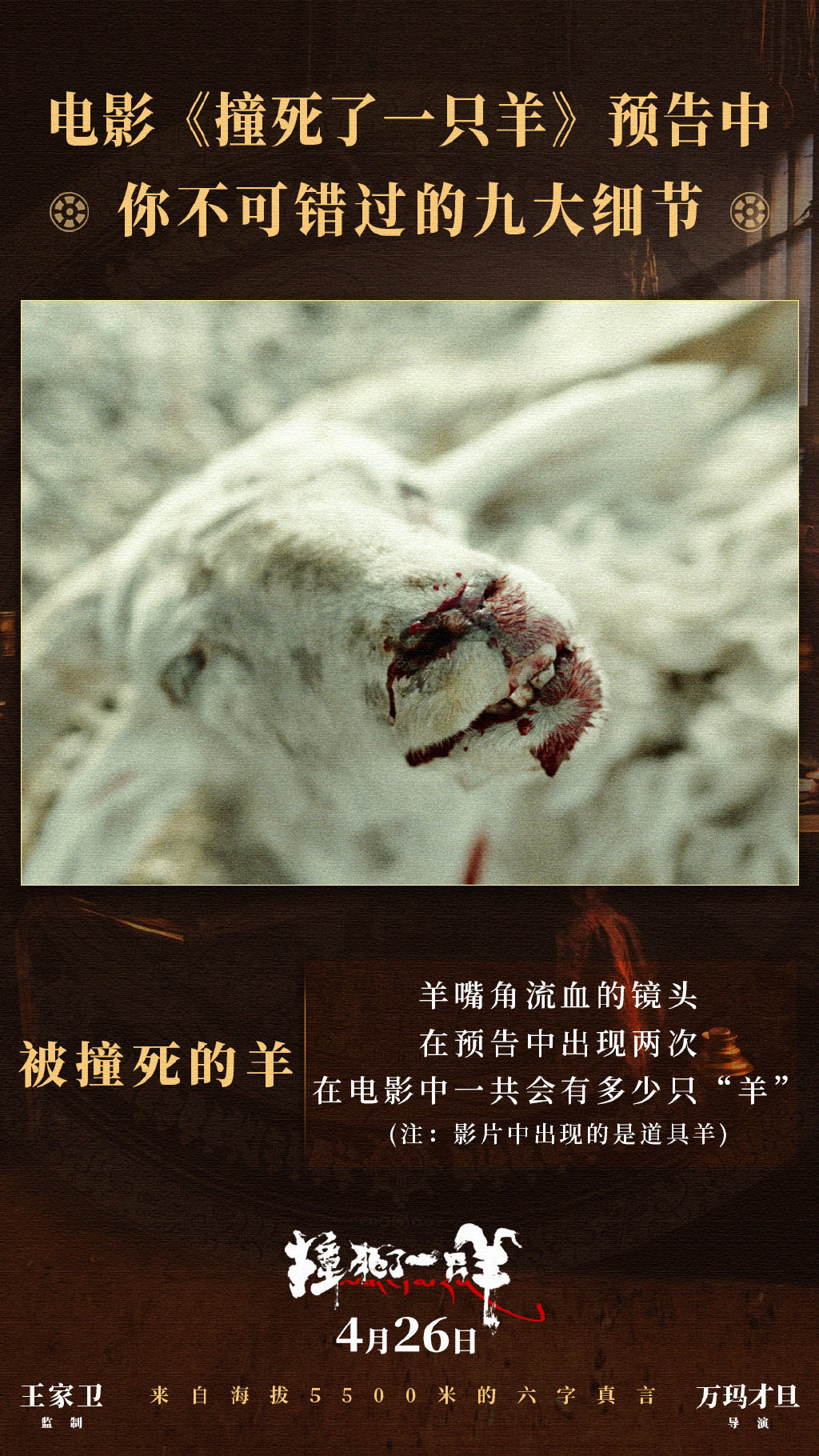 撞死了一只羊剧照的剧照