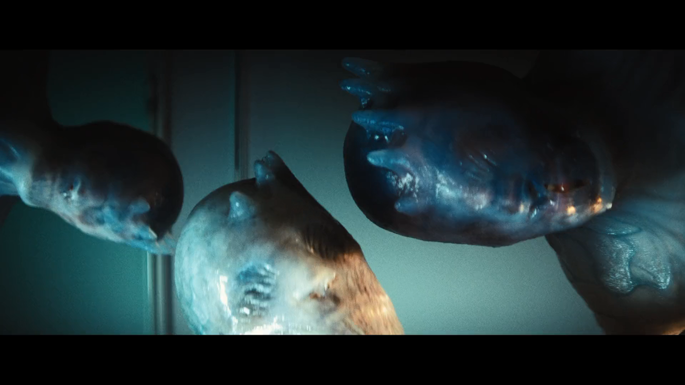 丹尼尔不是真的剧照的剧照