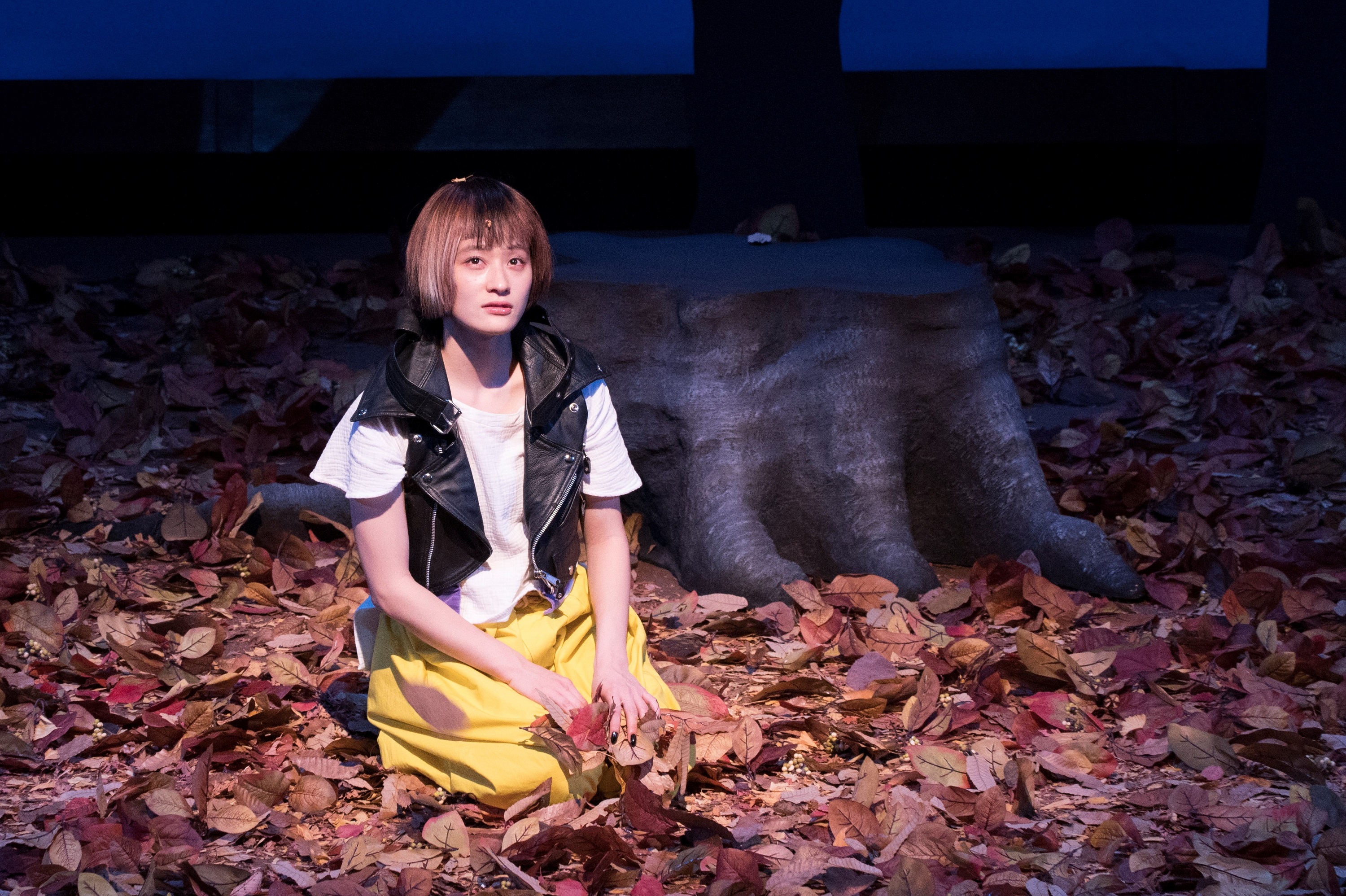 猫是要抱着的剧照的剧照