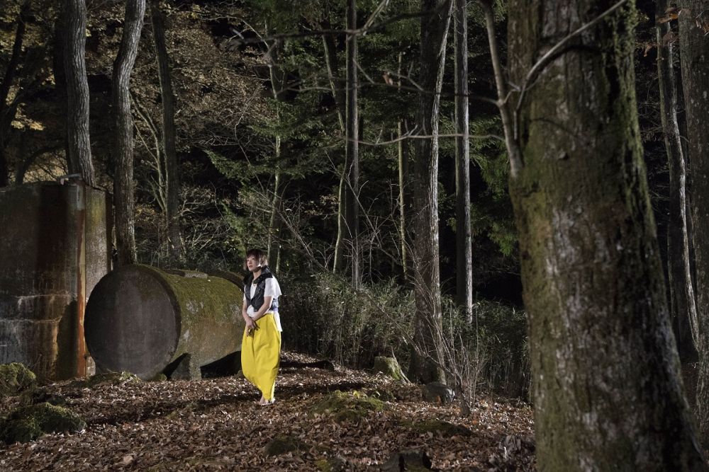 猫是要抱着的剧照的剧照