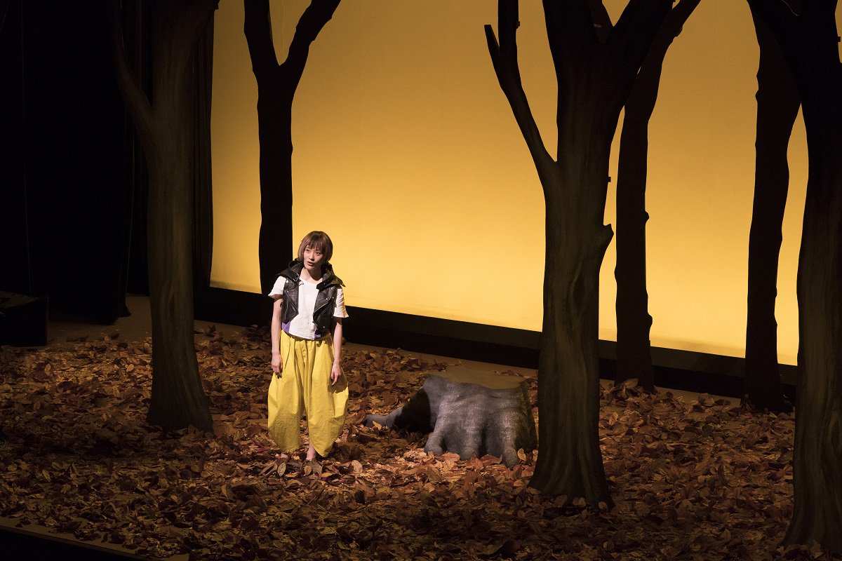 猫是要抱着的剧照的剧照