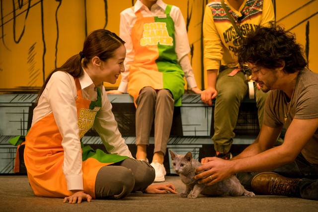 猫是要抱着的剧照的剧照