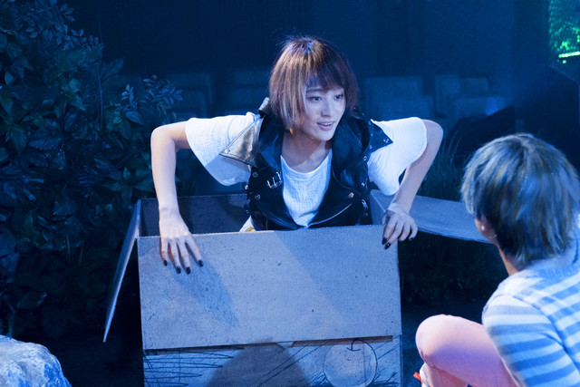 猫是要抱着的剧照的剧照