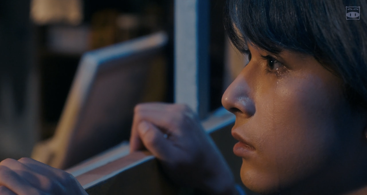 猫是要抱着的剧照的剧照