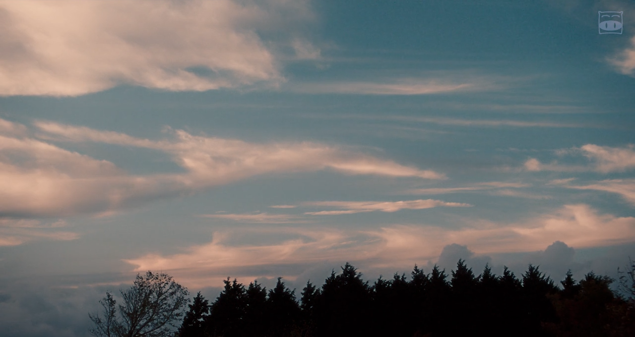 猫是要抱着的剧照的剧照