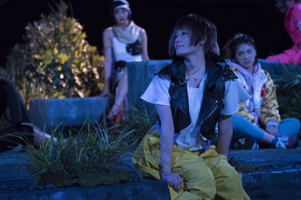 猫是要抱着的剧照的剧照