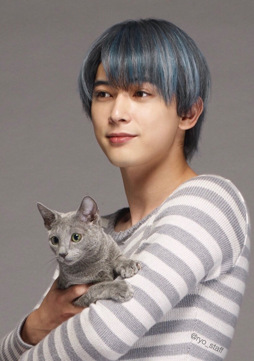 猫是要抱着的剧照的剧照