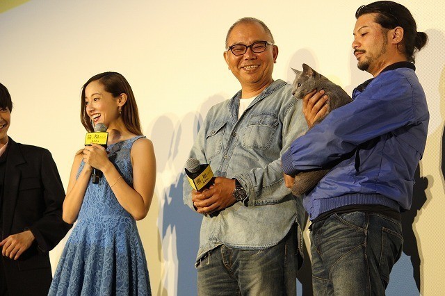 猫是要抱着的剧照的剧照