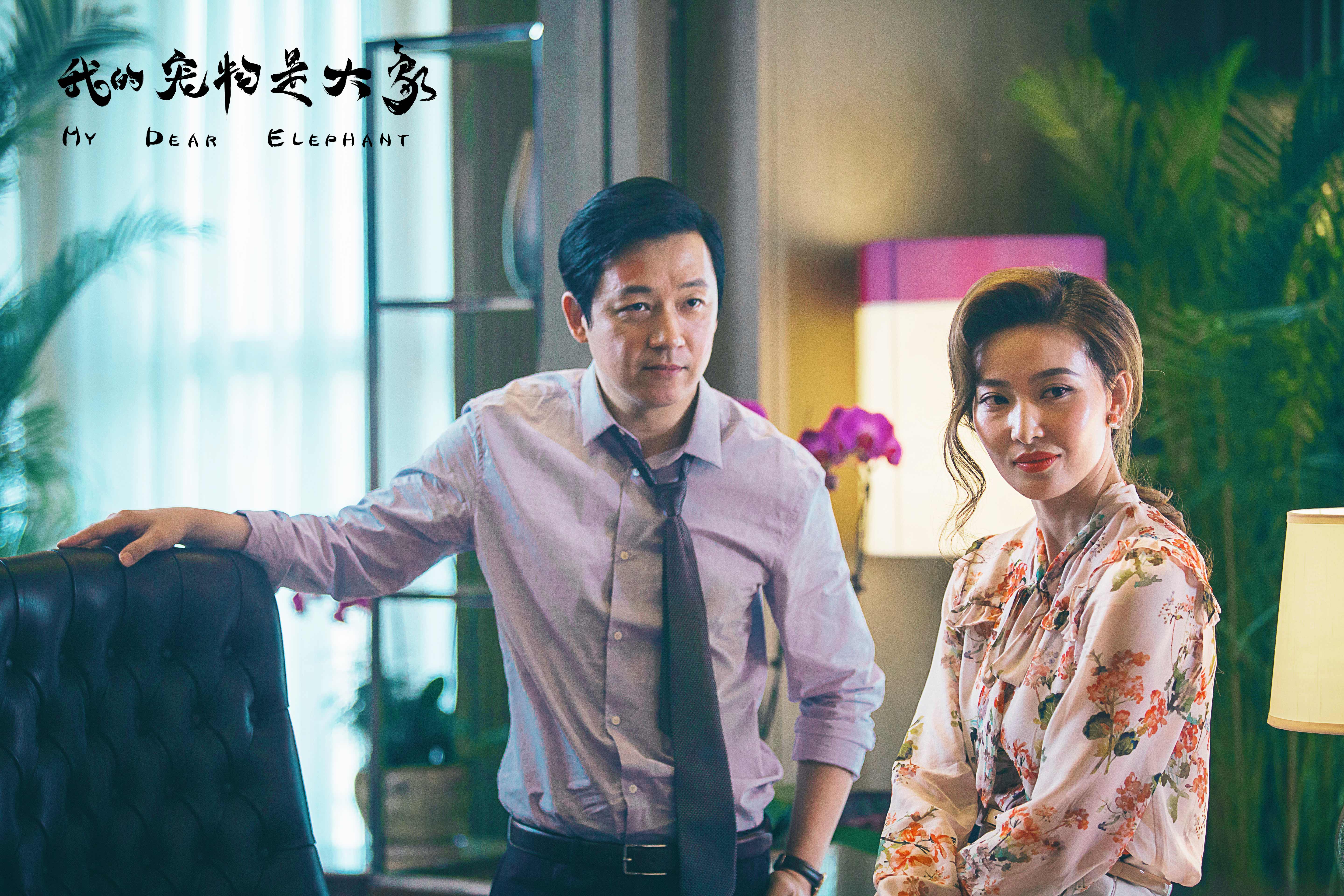 我的宠物是大象剧照的剧照