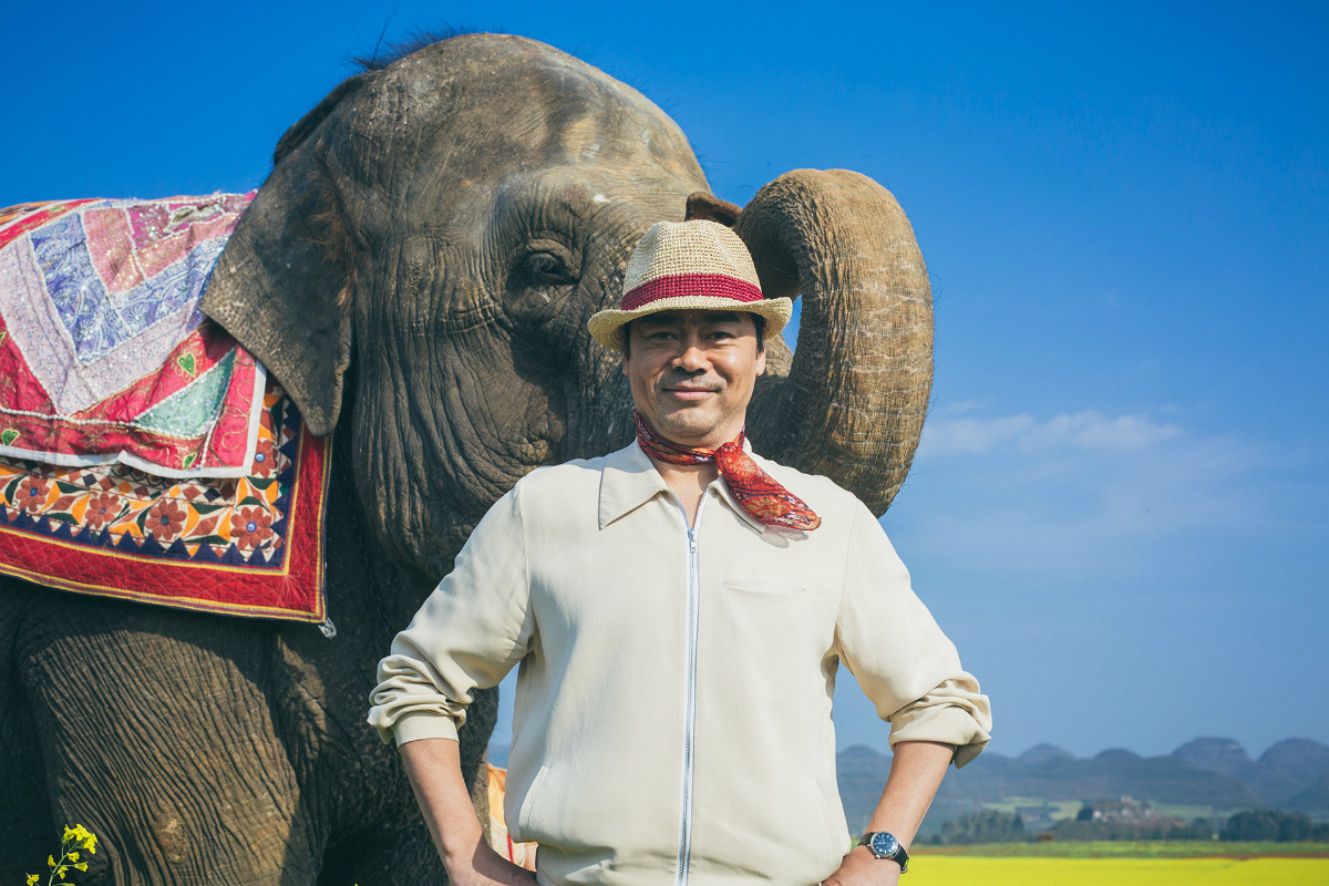 我的宠物是大象剧照的剧照