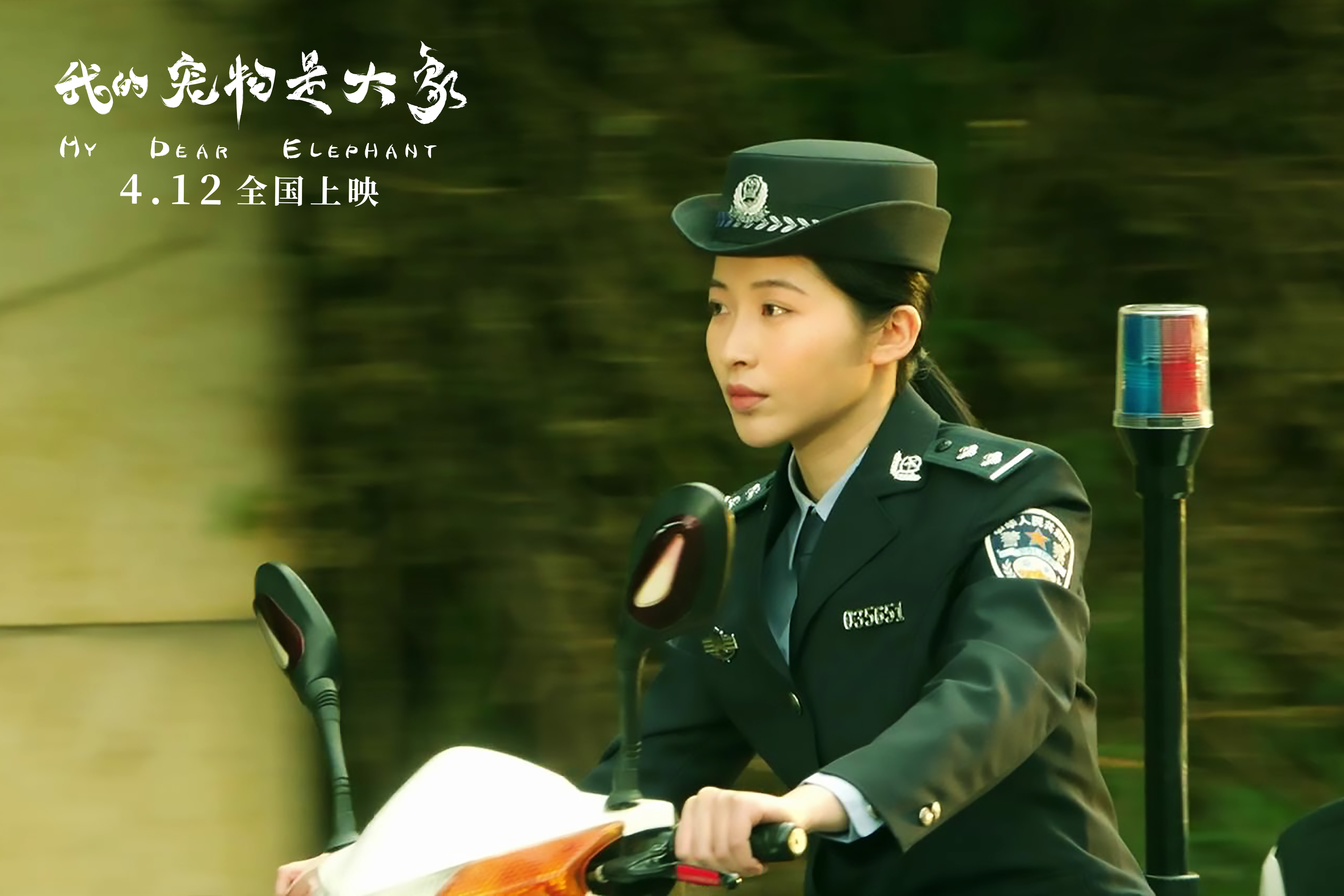 我的宠物是大象剧照的剧照