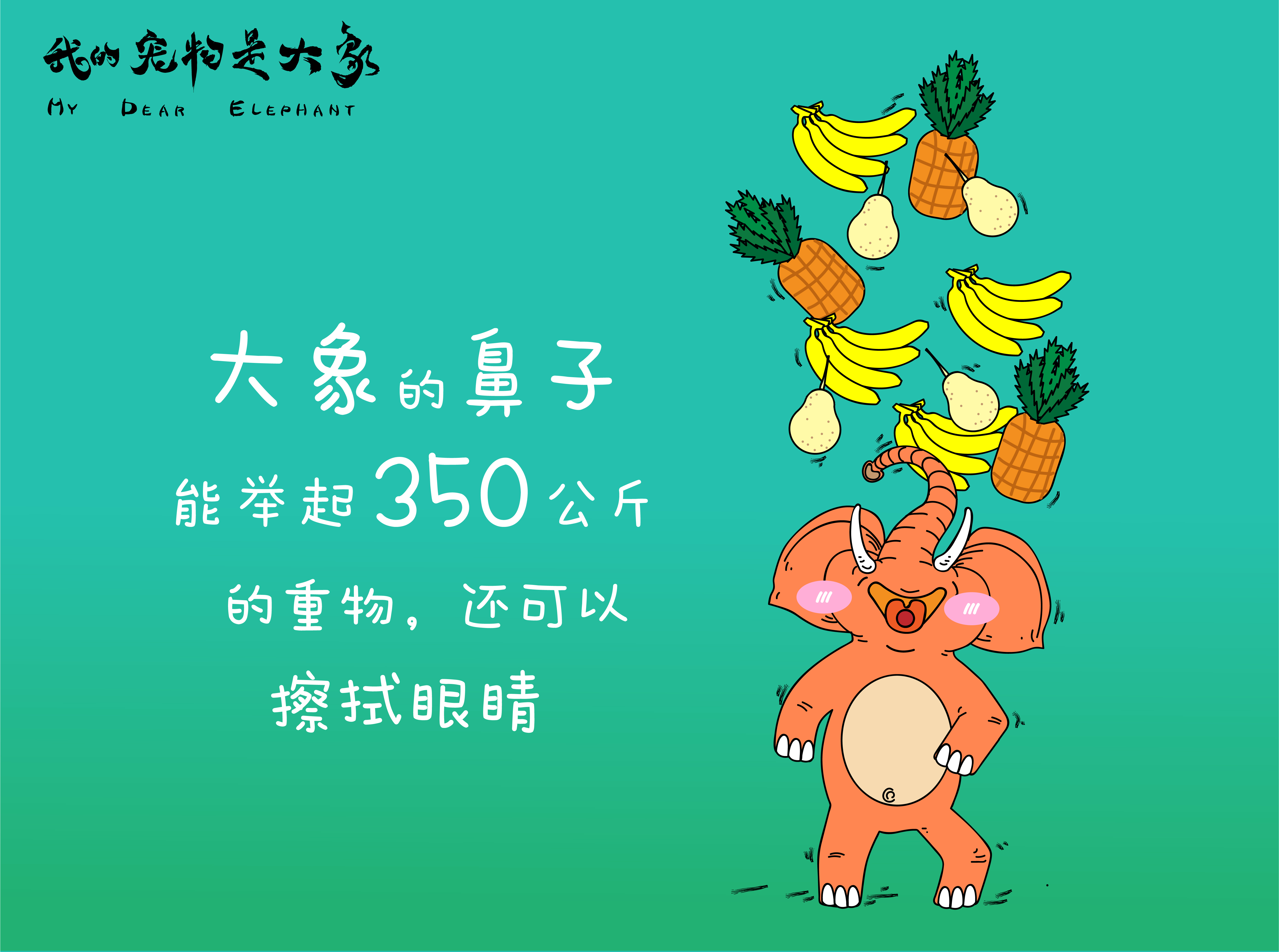 我的宠物是大象剧照的剧照