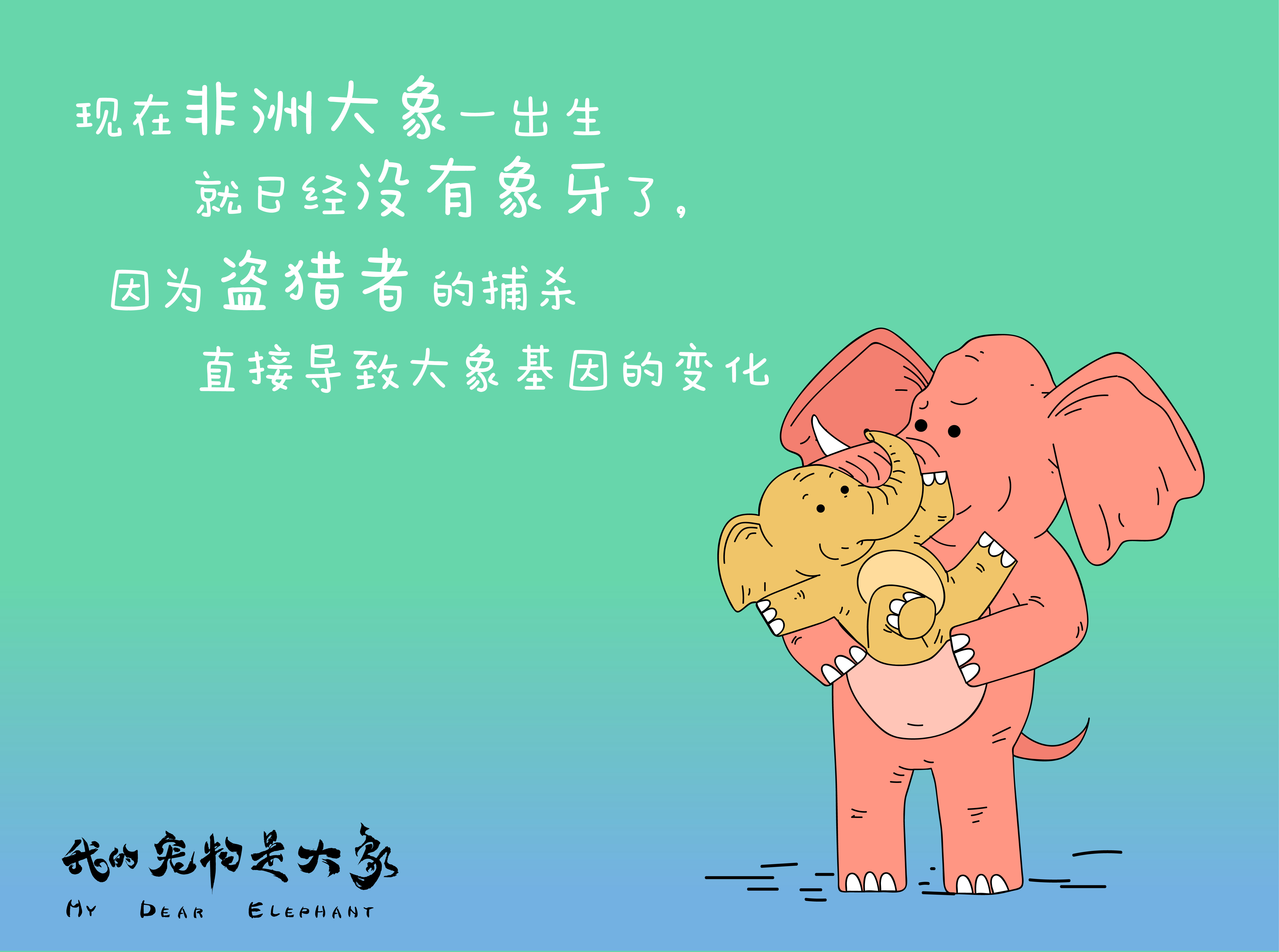 我的宠物是大象剧照的剧照